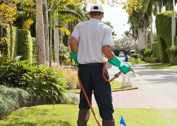 About Two Buttes CO Pest Control